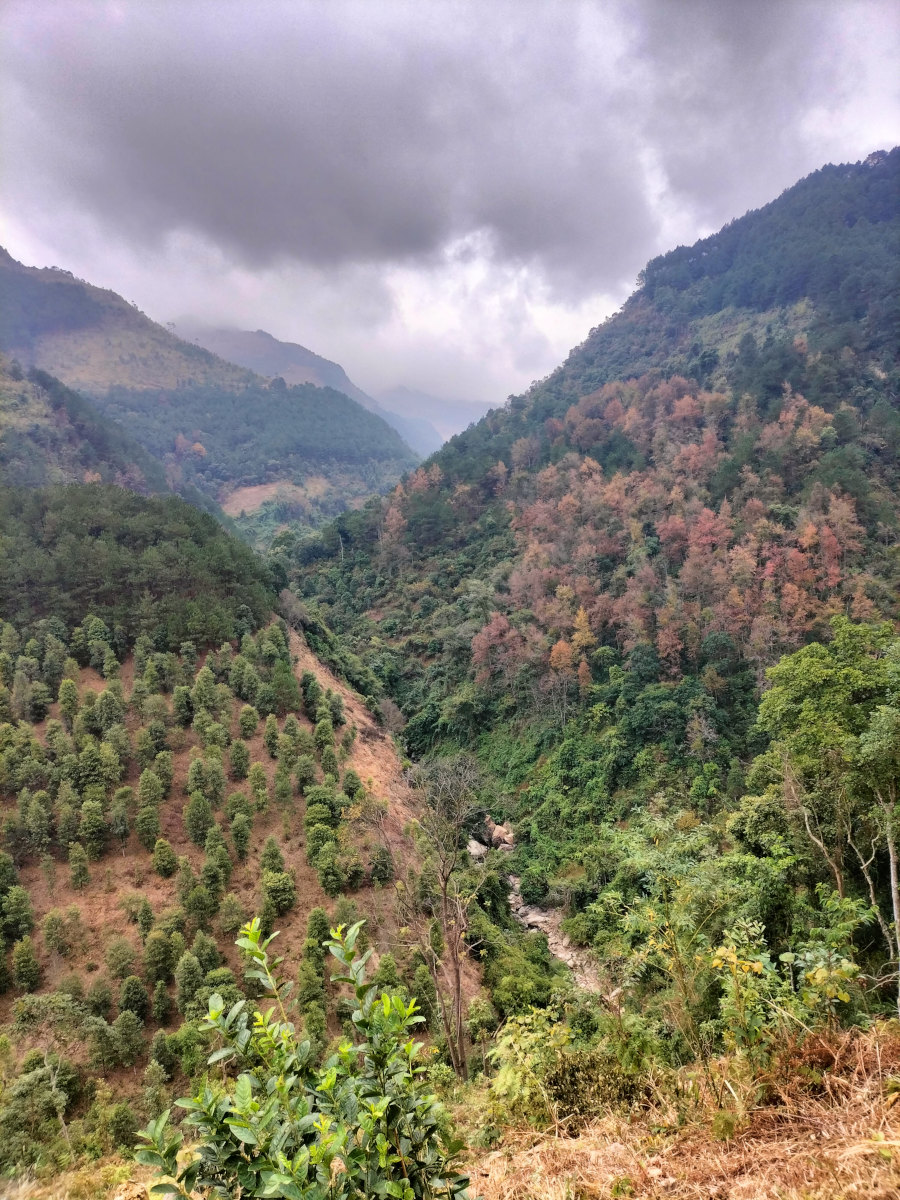 1 Day Tour Image 2